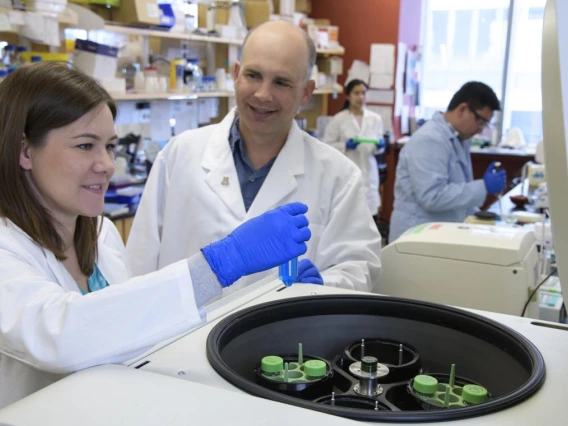 Researchers in a lab