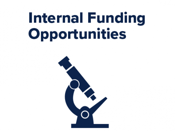 Internal Funding Opportunities