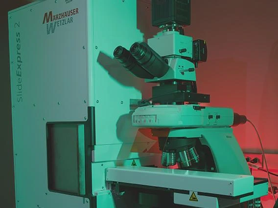 Microscopy