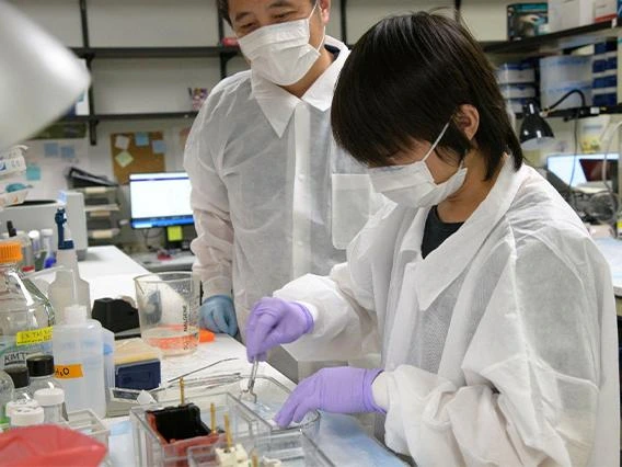 Student and Teacher in a Lab