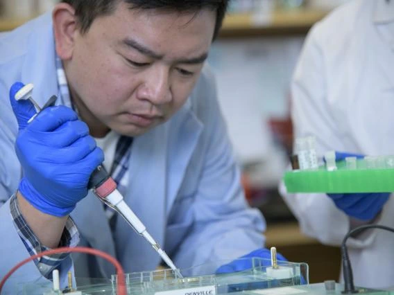 Researcher using pipette in lab