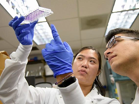 Undergraduate Students working in Lab