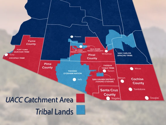 Catchment Area Map in Perspective