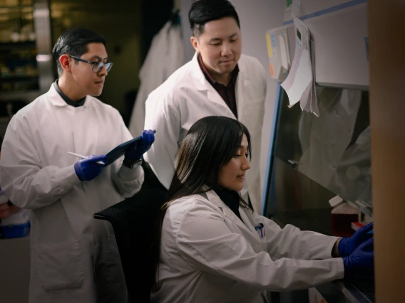 A person works inside a hood in a lab while two people in lab coast look on.