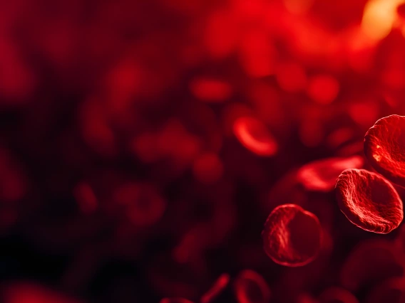 Blood Cells