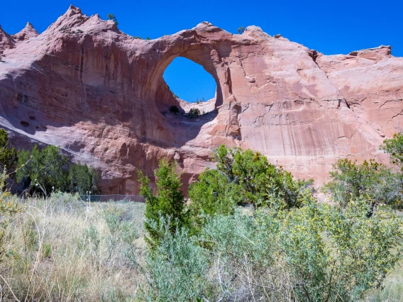 0625-Beyond-Cancer-Window-Rock-054