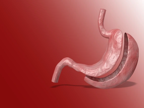 A drawing of a stomach with a red background.