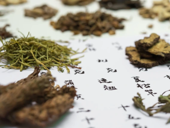Chinese medicinal herbs on a paper with Chinese writing.