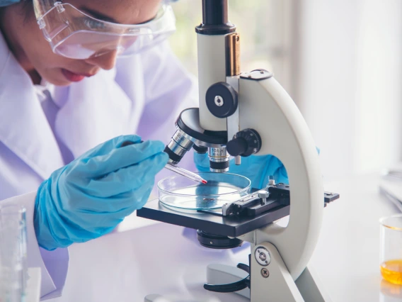 Researcher wearing protective goggles and blue gloves looks into a microscope.