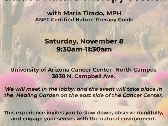 Guided therapy session flyer 2025