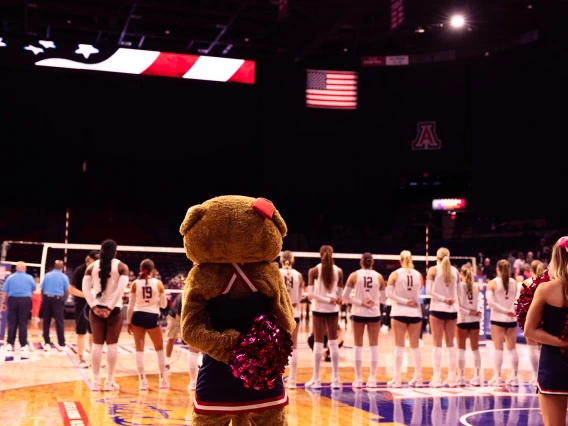 Wilma Wildcat at Volleyball Game