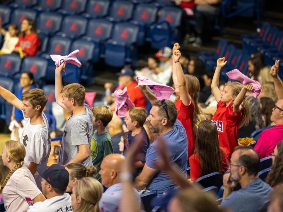 Crowd at volleyball game, waving pink towels