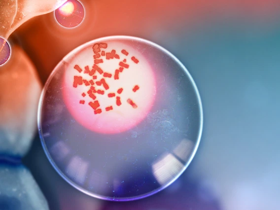 Illustration of the healing power of t-cells that retain the Y chromosome