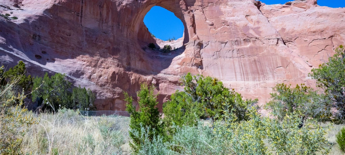 0625-Beyond-Cancer-Window-Rock-054