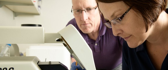 Researchers in Lab