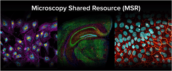Microscopy Shared Resource Banner