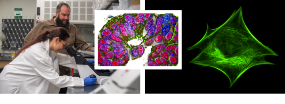 cancer biology header collage