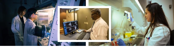 clinical and translational collage