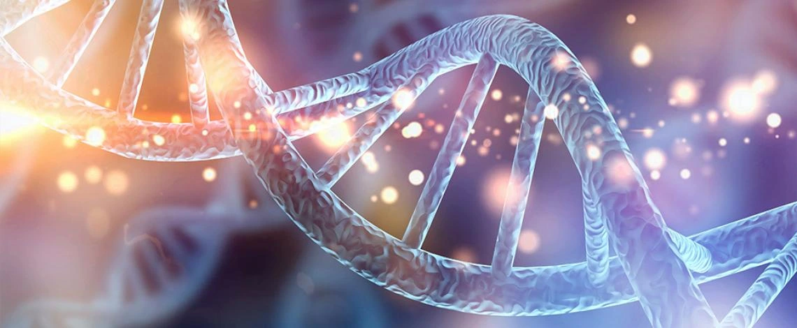 experimental mouse tumour ADN