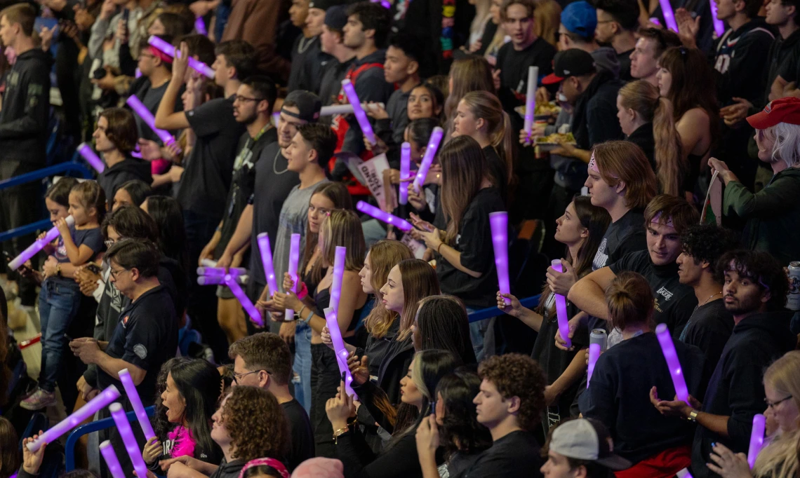 UArizona crowd