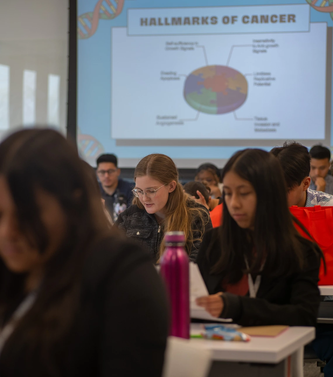 High School Students studying Cancer Biology