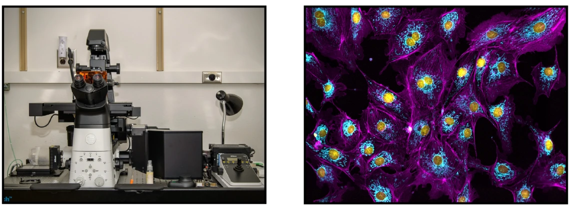 Nikon Crest Microscope and Slide