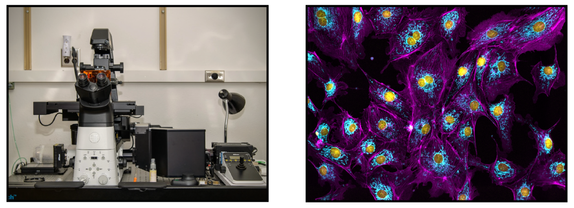 Nikon Crest Microscope and Slide