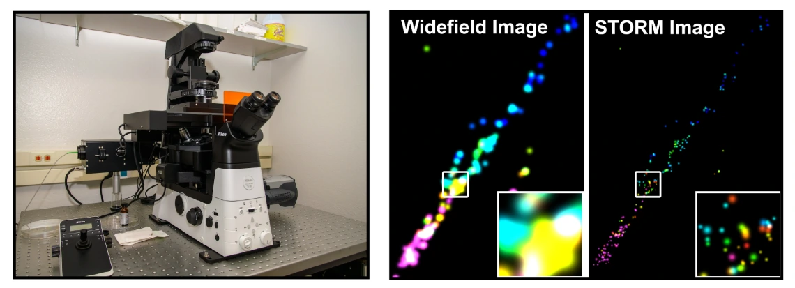 Nikon Storm Microscope and Slide Image