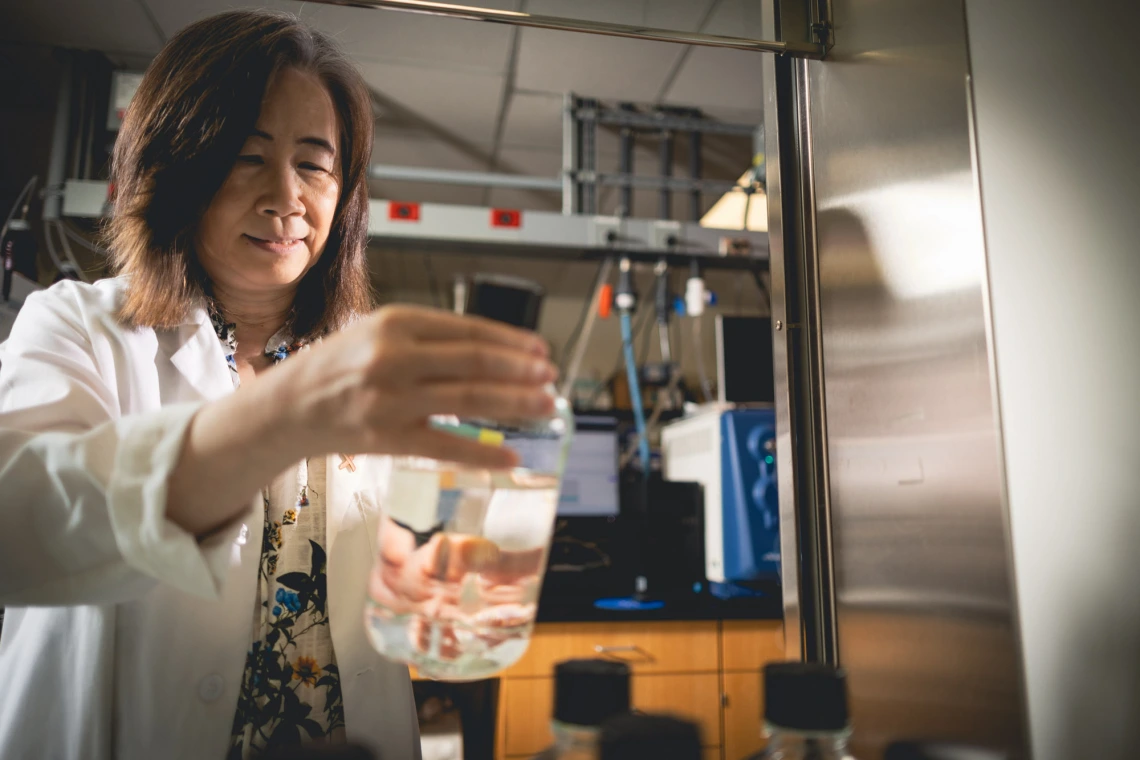 Sherry Chow, PhD, looks at a beaker inside her lab.