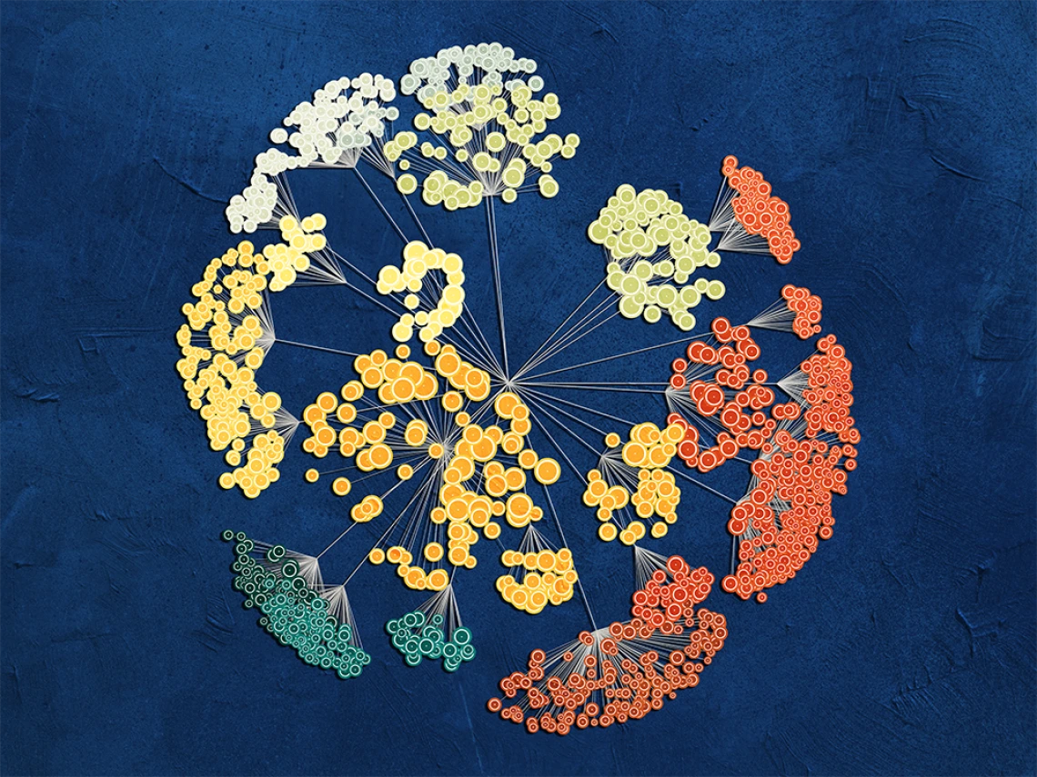 Biostatistics and Data Visualization