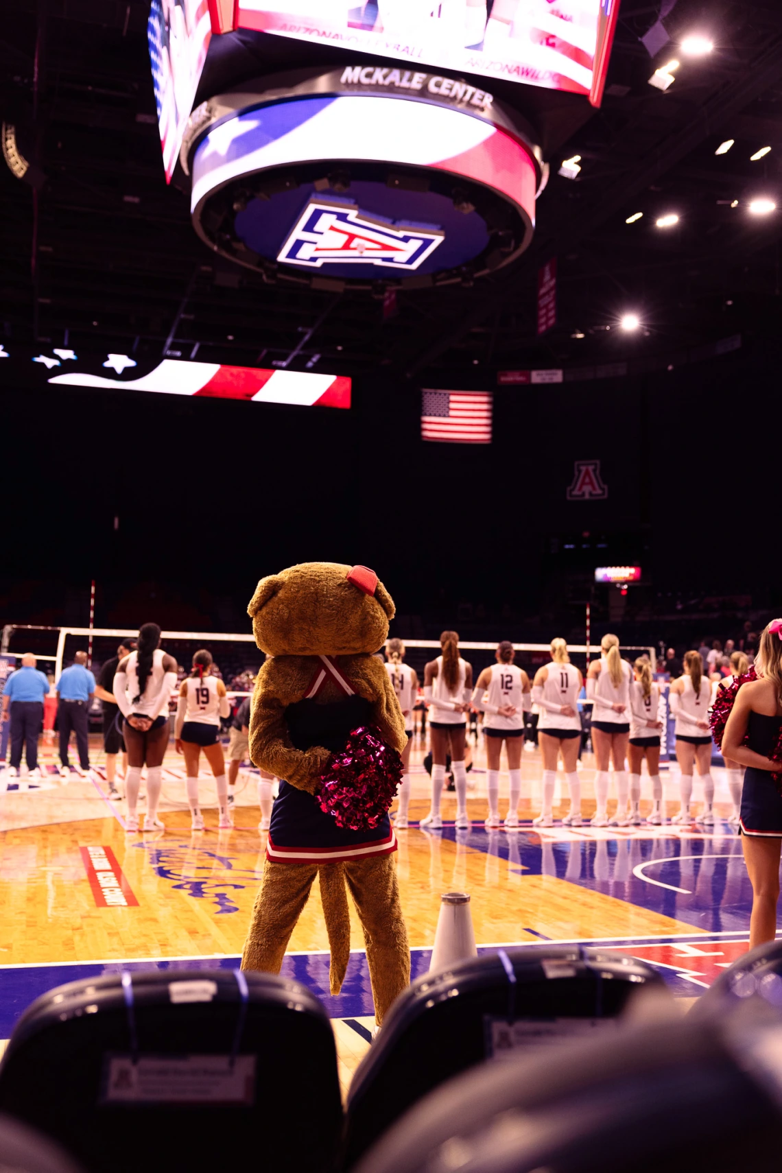 Wilma Wildcat at Volleyball Game