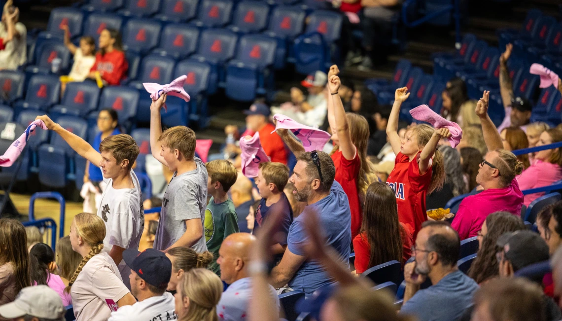 Crowd at volleyball game, waving pink towels