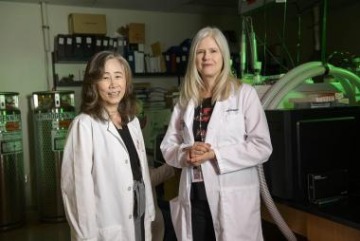 UArizona Cancer Center researchers Sherry Chow, PhD, and Julie Bauman, MD, say their findings are encouraging for people struggling or unable to quit smoking.