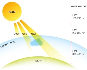 Graphic of sun and UVC, UVB and UVA rays.