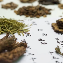 Chinese medicinal herbs on a paper with Chinese writing.