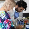 Dr. Cindy Miranti works with a member of her team on a cell culture for one of their projects