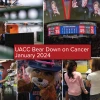 A collage of five photos from the Bear Down on Cancer January 2024 newsletter