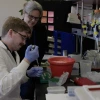 Joyce Schroeder working with laboratory technician
