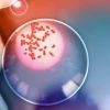 Illustration of the healing power of t-cells that retain the Y chromosome