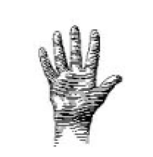 Sketch of hand.